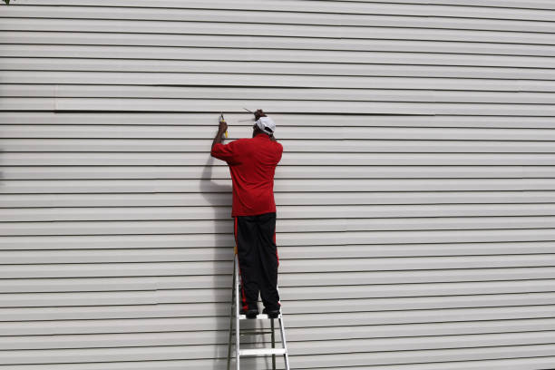 Best Siding Painting and Refinishing  in Barrett, TX