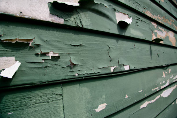 Affordable siding repair and maintenance services in Barrett, TX